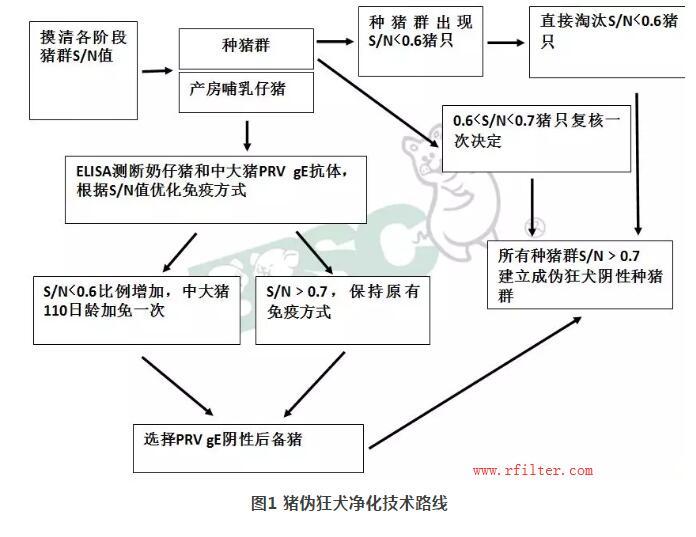 規(guī)模豬場如何凈化控制疫??？空氣過濾系統(tǒng)如何阻擋藍耳病毒株呢？